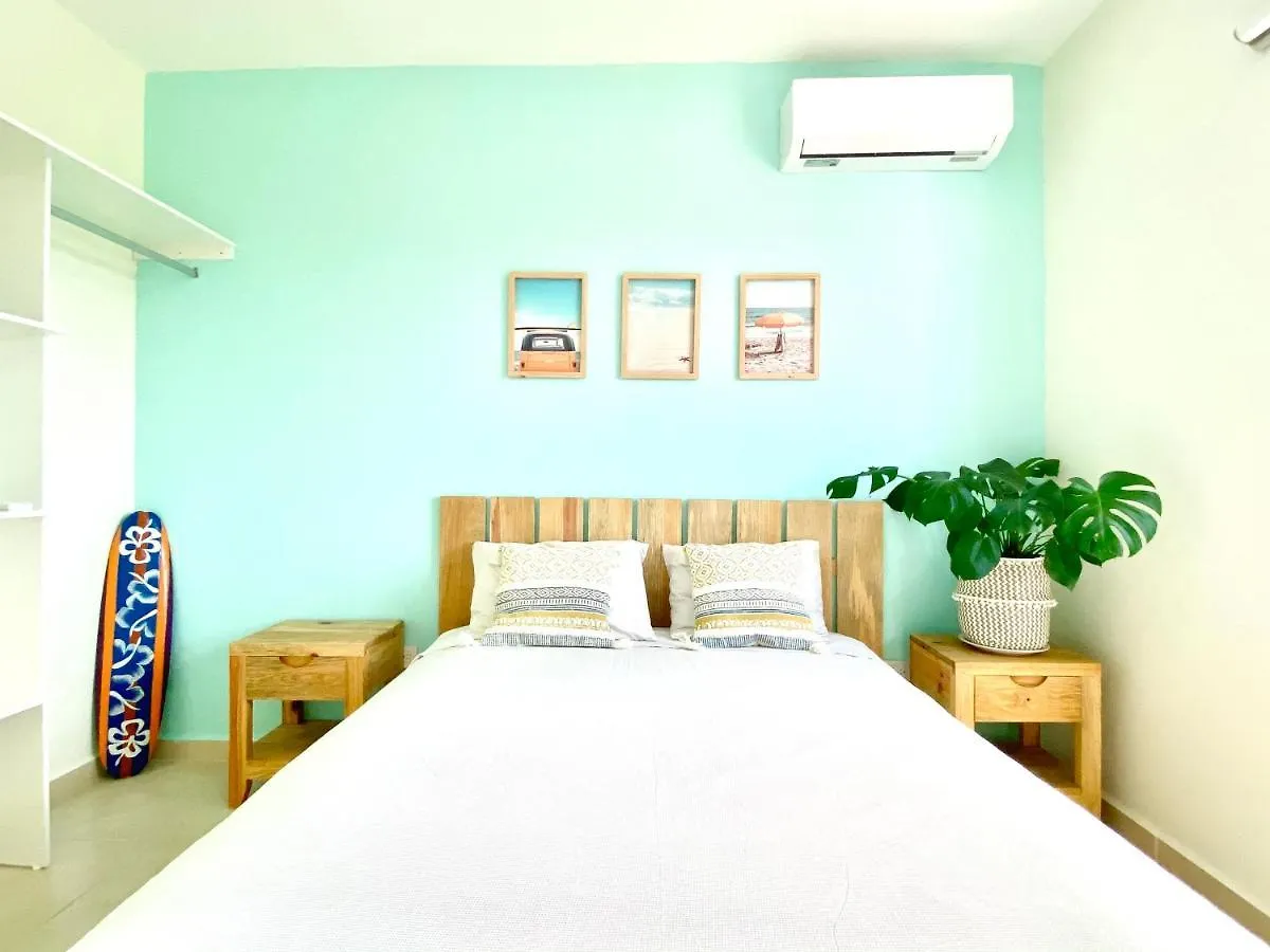 Coquillage A Daire Cancun Meksika